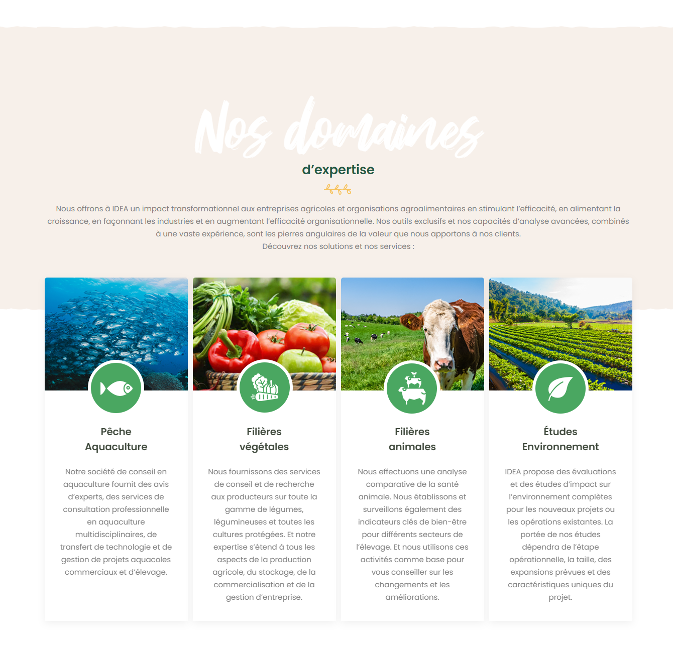 ideasite